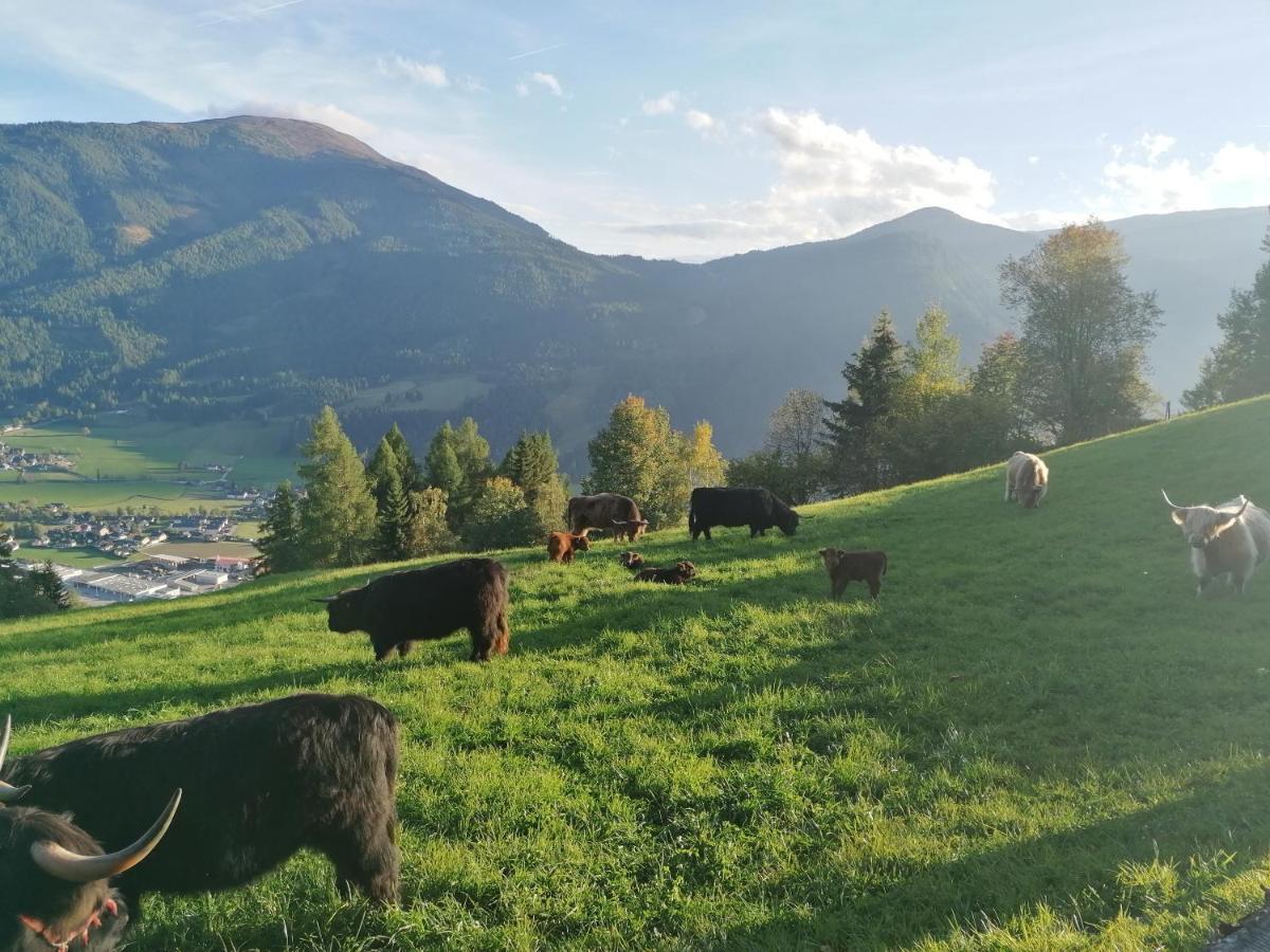 Krametergut * Sankt Michael im Lungau