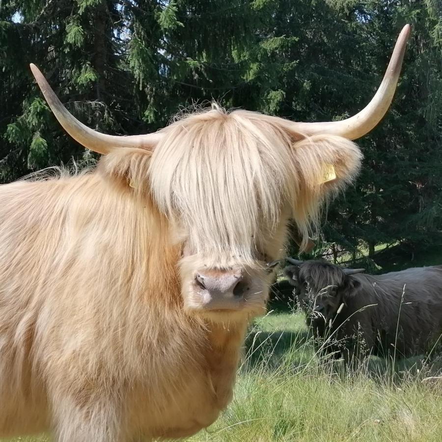 Ferienhaus Krametergut Sankt Michael im Lungau