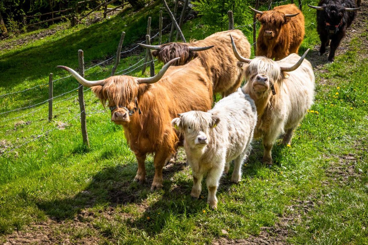 Ferienhaus Krametergut Sankt Michael im Lungau